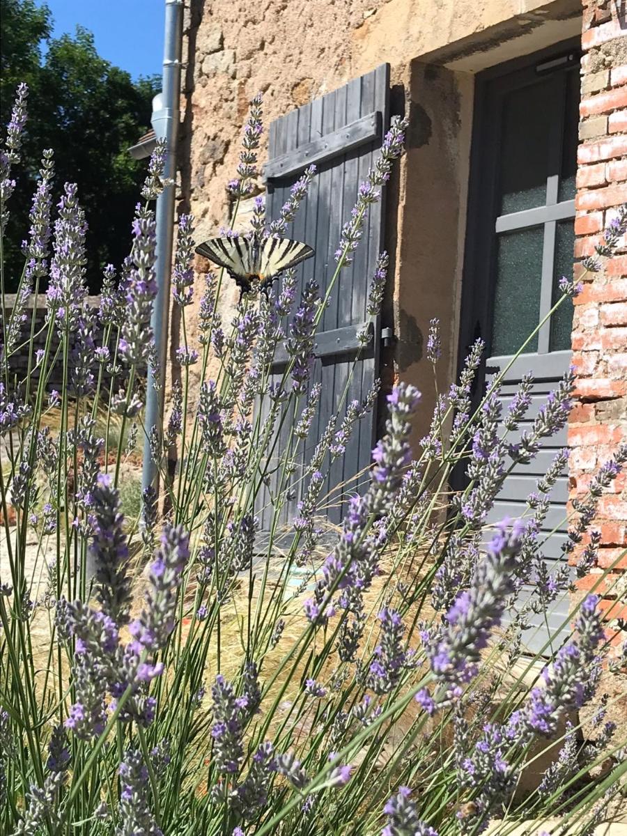 Gîte de la Pisserotte - Housity