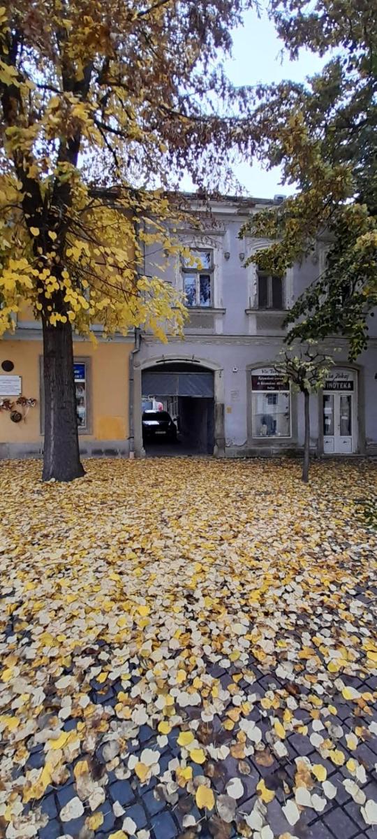 Via Tokaj Vendégház - Housity