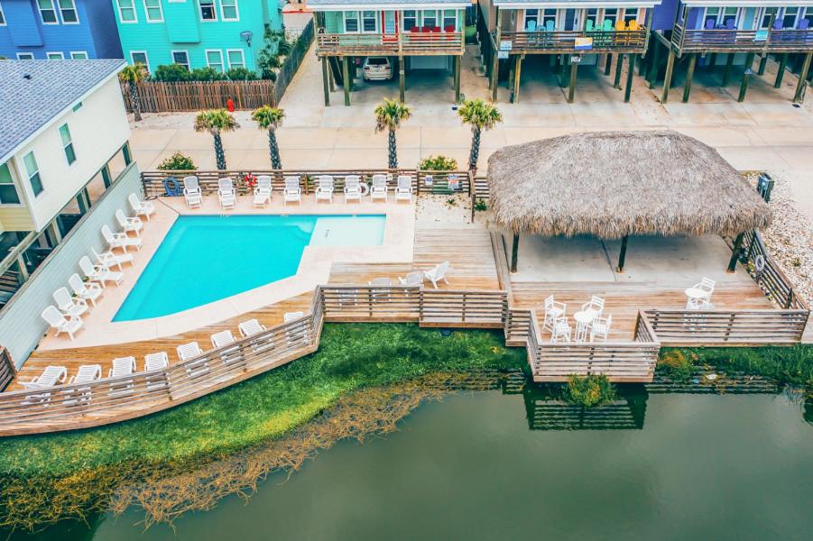 Beach Buzz - House - Housity