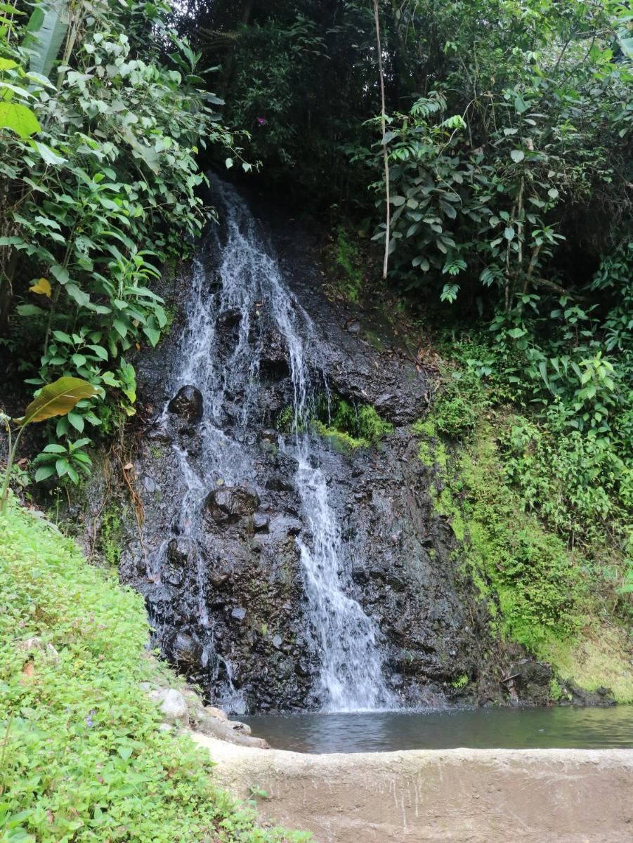 Glamping Malu - Housity