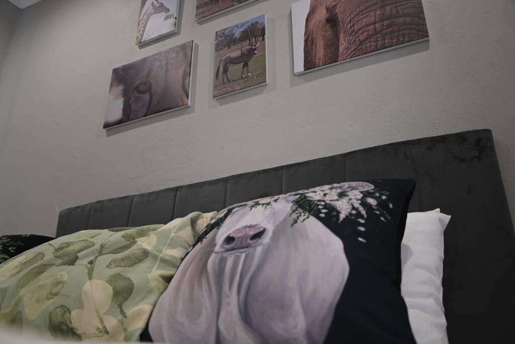 Montaña Casita - A comfortable and central cottage - Housity