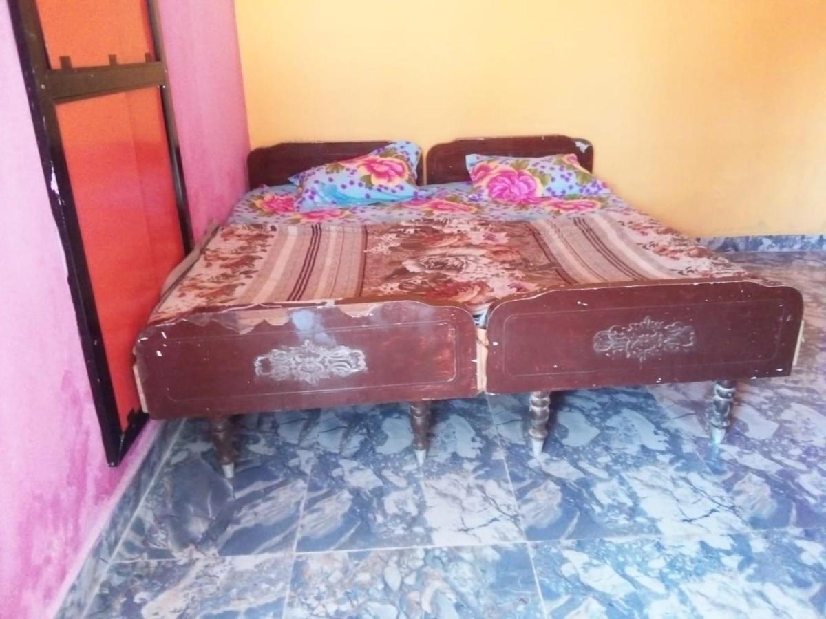 mango homestays - Housity
