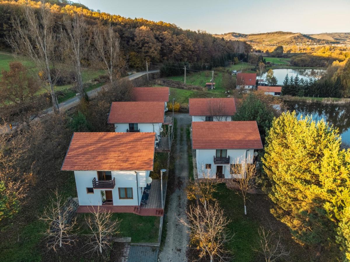 Pensiune Denisa - Housity