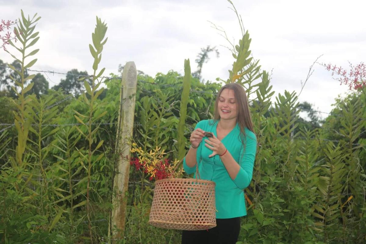 VulunVili Homestay - Housity