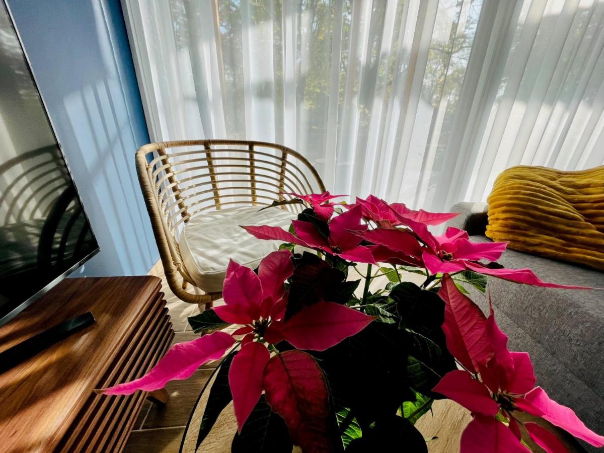 Aranygesztenye Apartmanház - Housity