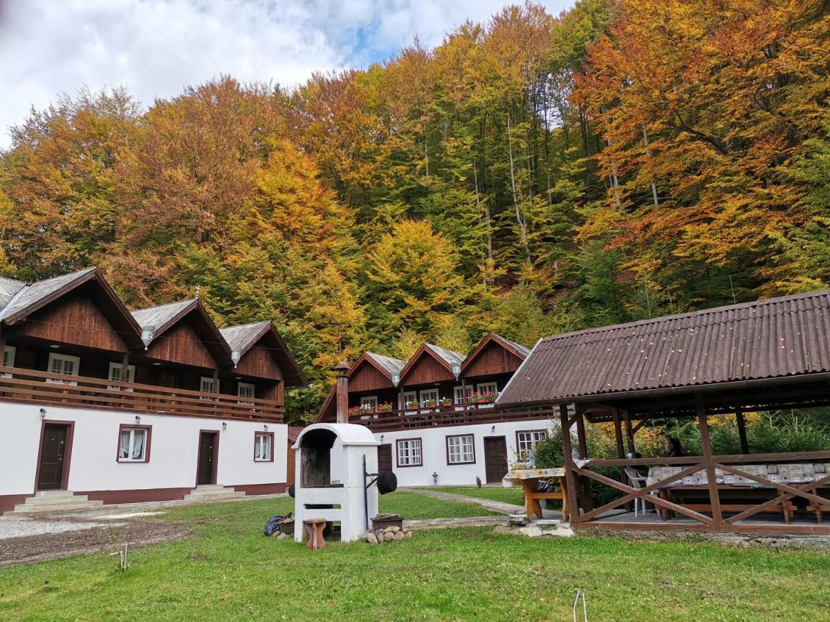 Fontana erdélyi vendégház B - Housity