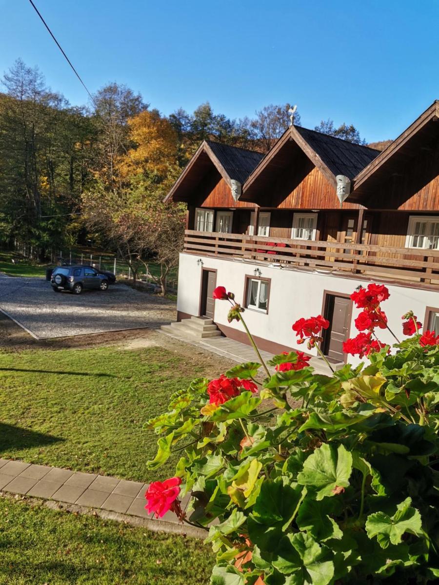 Fontana erdélyi vendégház B - Housity