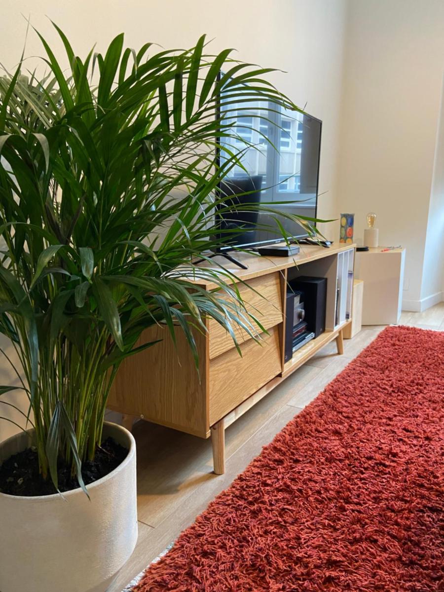 La Palmeraie - Appartement classé 4 étoiles - Hyper centre ville - Housity