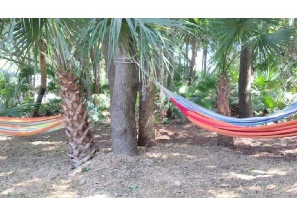 Beautiful, Pet-Friendly Coastal Getaway - Housity