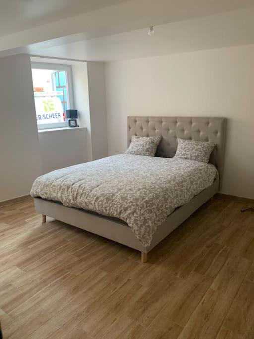 T3 neuf - maison alsacienne au calme avec cour privée - Housity
