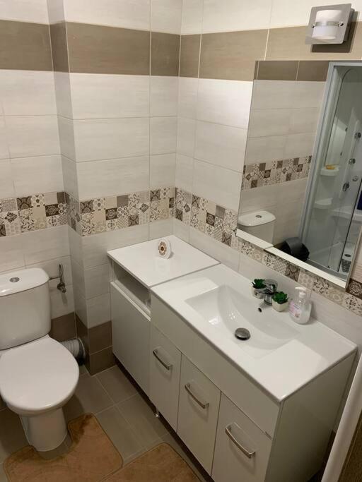 Lovely Bacau 1 bedroom apartment - Housity