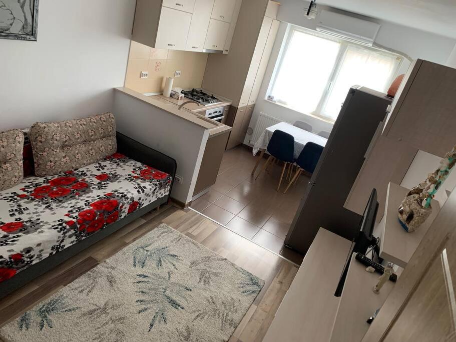 Lovely Bacau 1 bedroom apartment - Housity
