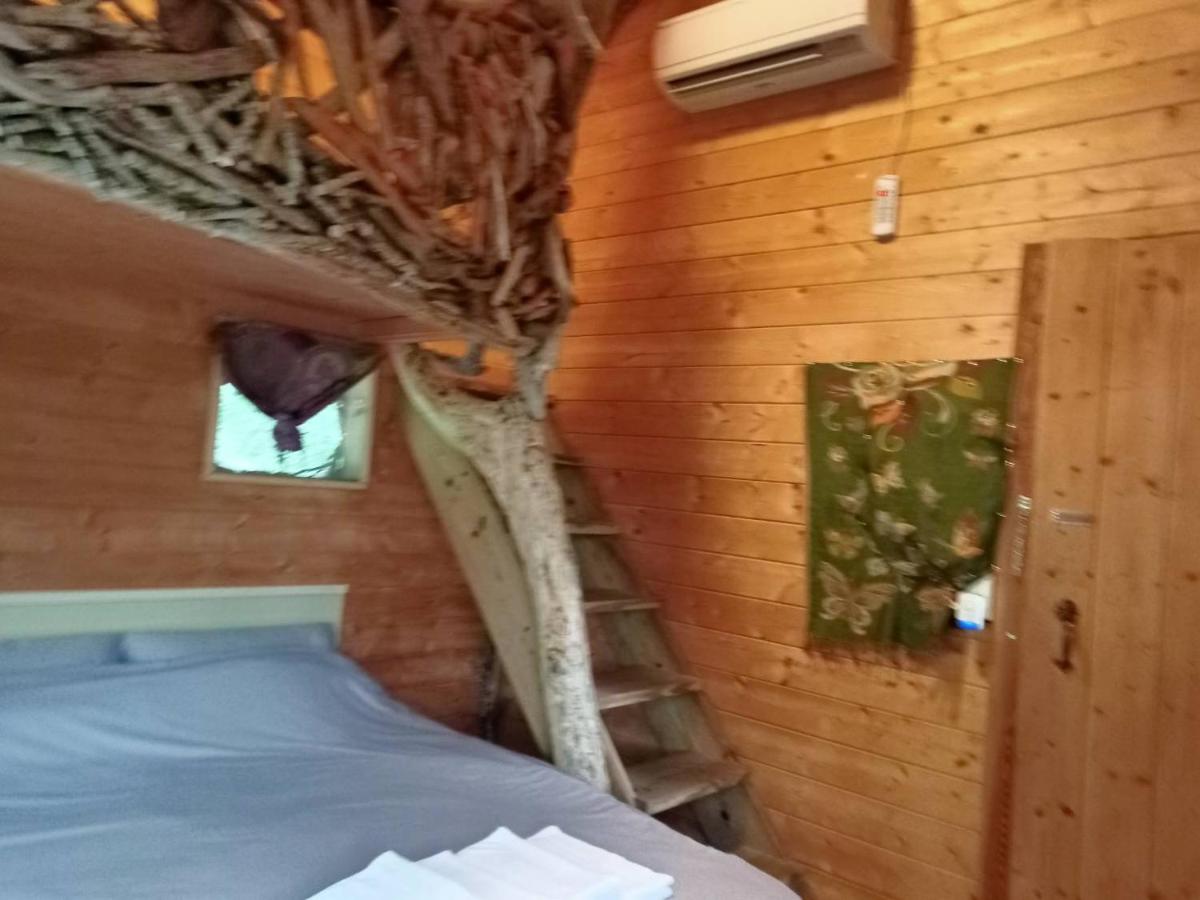 Kamisatu Treehouse - Housity
