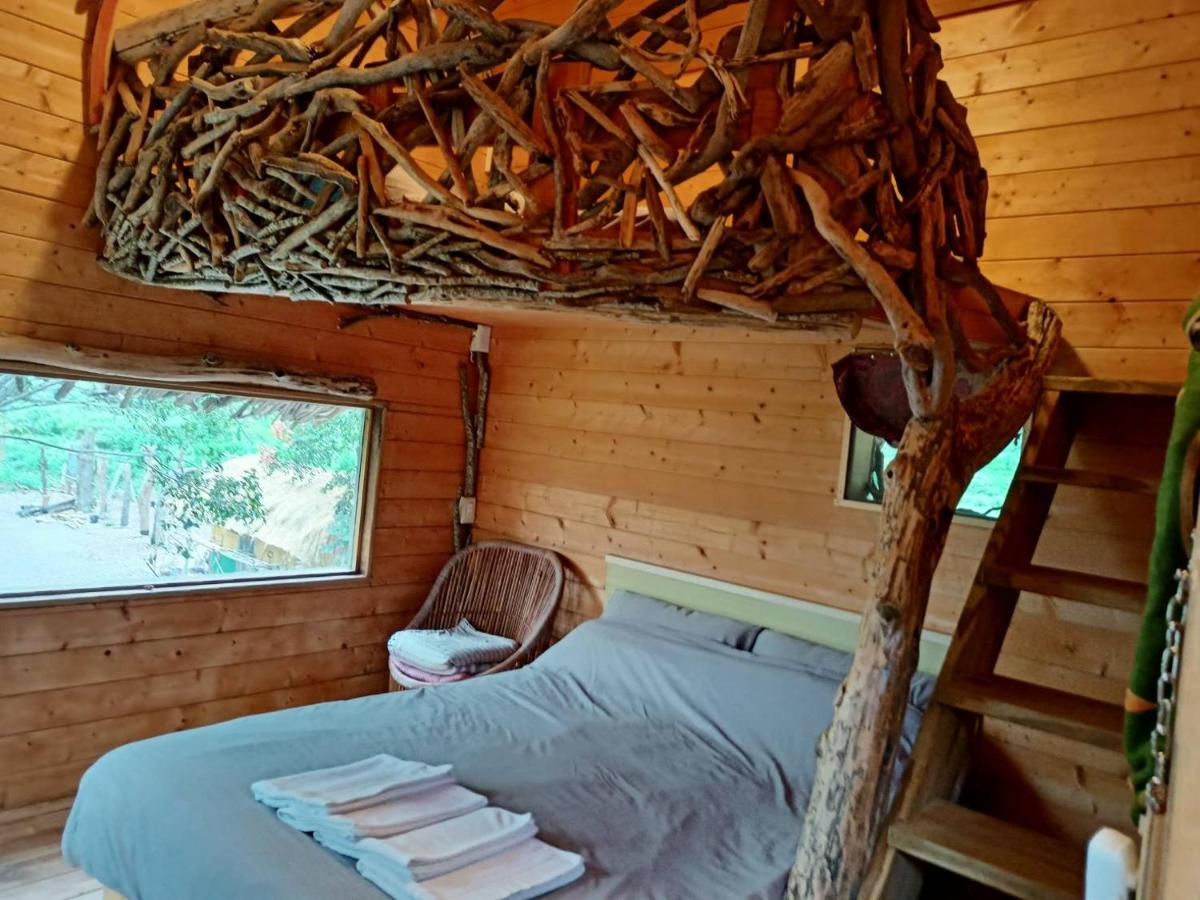 Kamisatu Treehouse - Housity