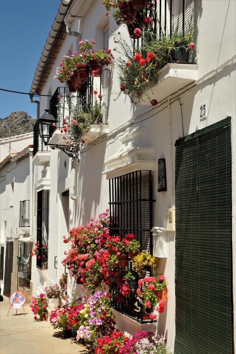 HOSTAL MONCADA - Housity