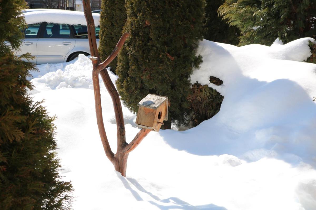 Private apartments in Alpine Lodge Bansko - Housity