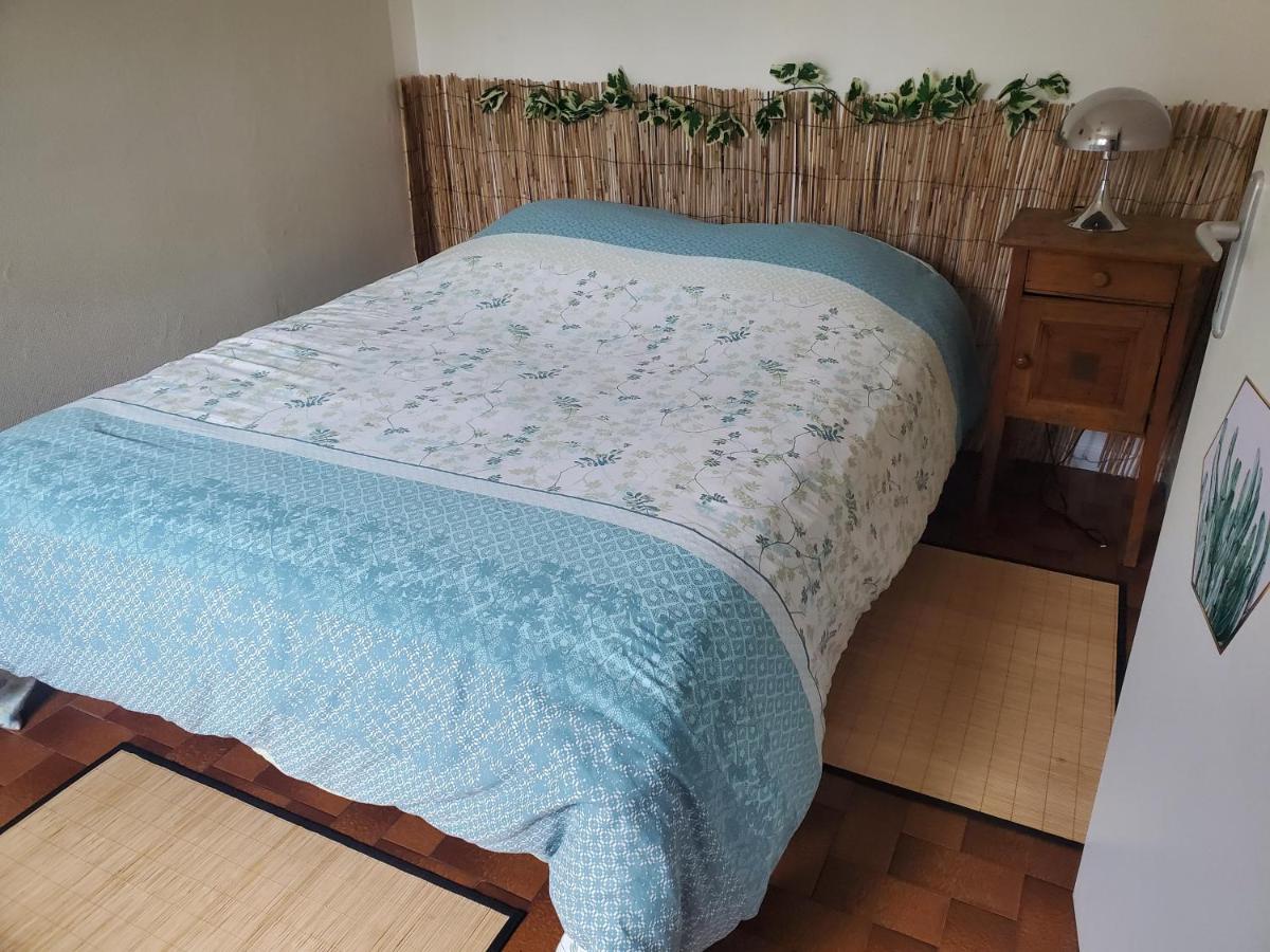 Dolphin's B&B - Hizvo
