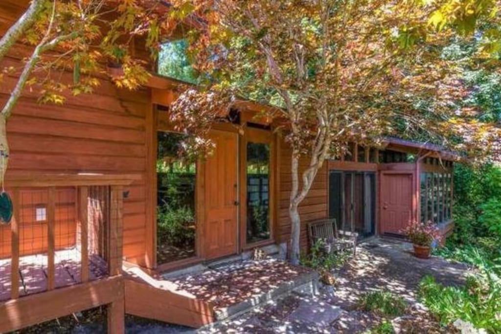 Monthly Only - Canyon Cottage in the Redwoods near Downtown - Housity