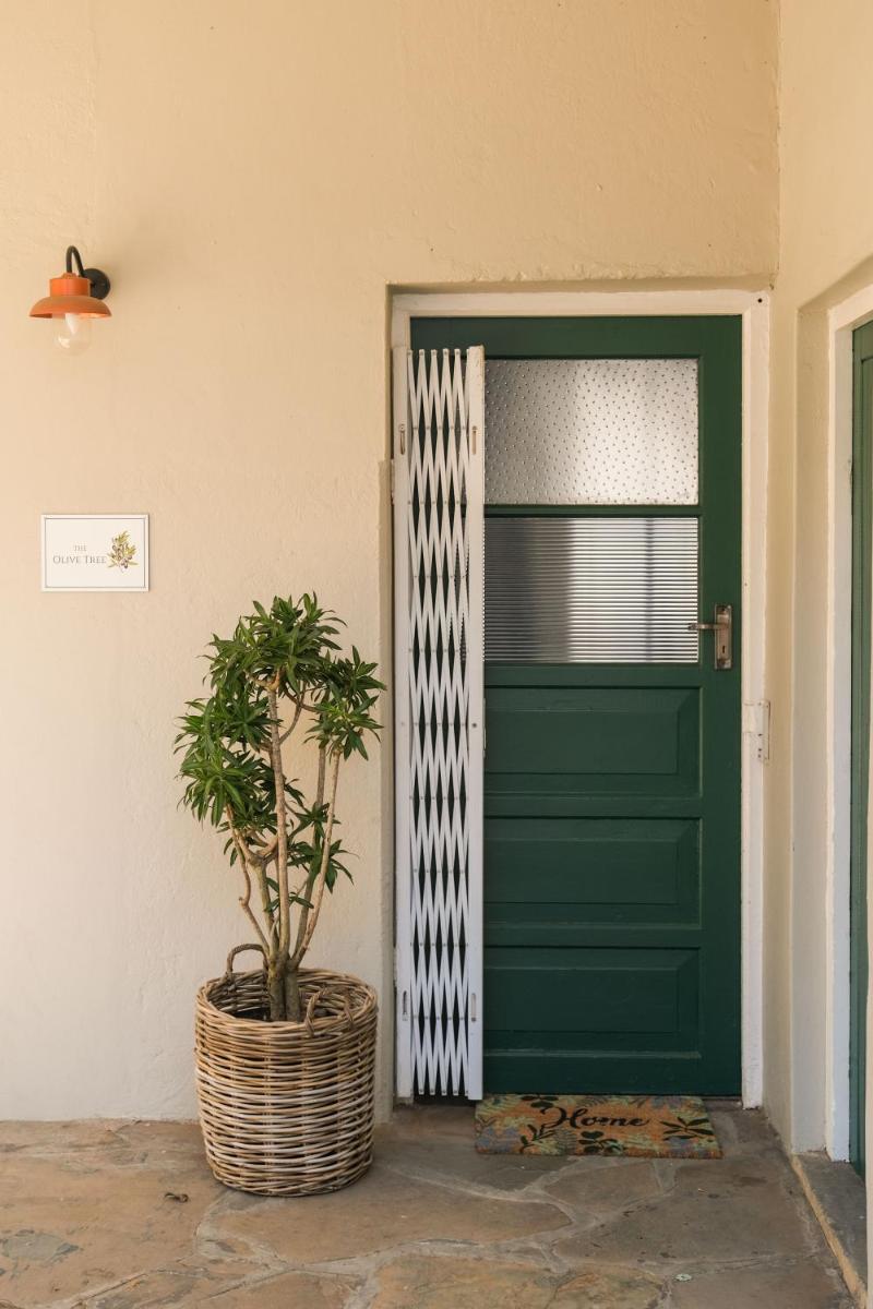 The Olive Tree - Housity