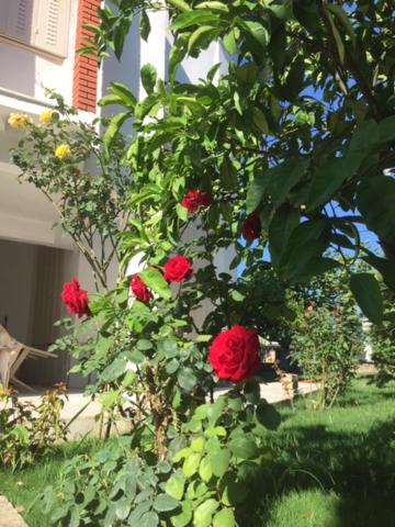Süleyman Sargın Sitesi - Housity
