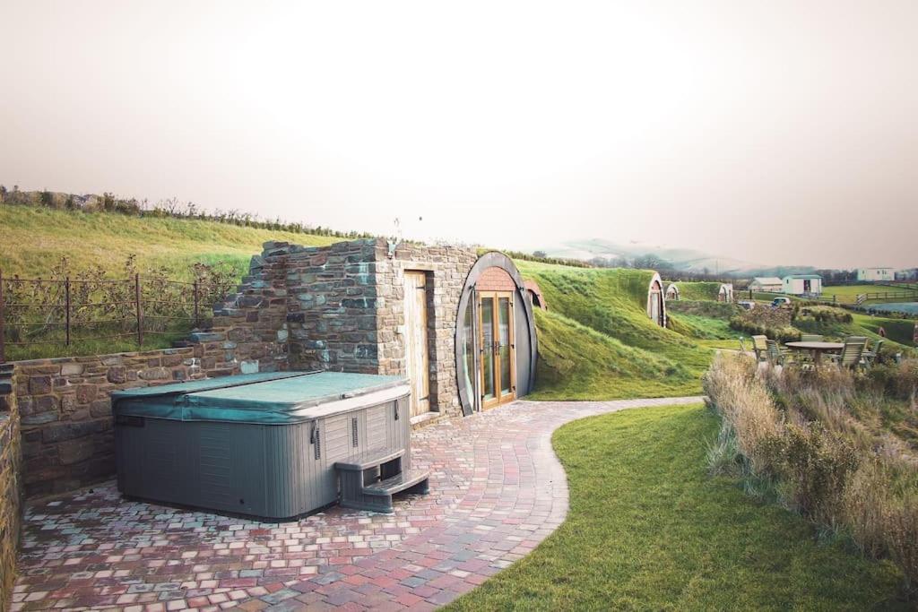 Hedgehogs View - Housity