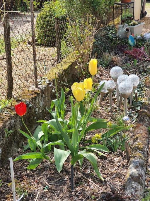 Les Noyers Monestois entre Cher et Canal de Berry - Housity