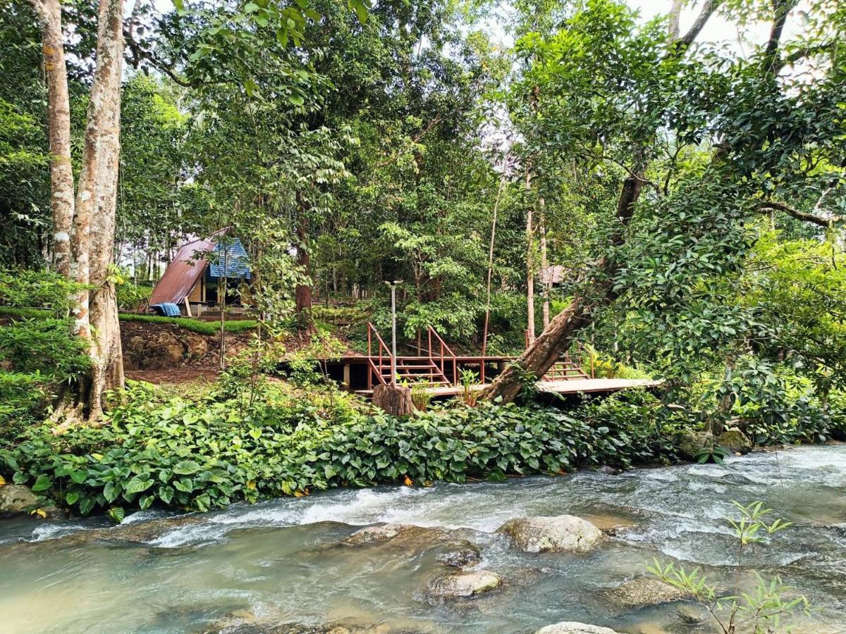 Oasis garden - Housity