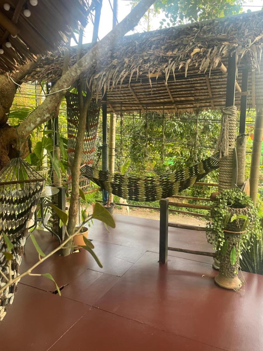 Happy Hippy House7 - Housity