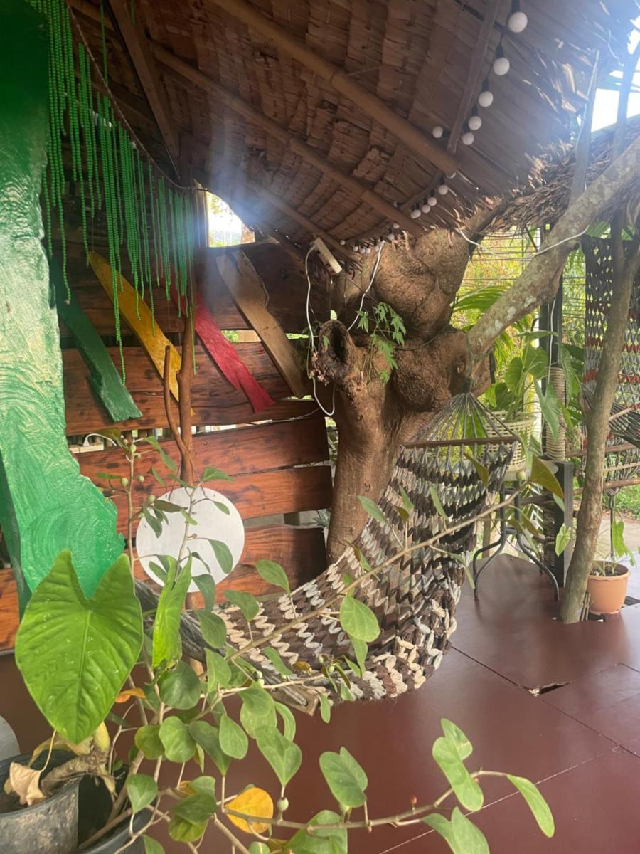 Happy Hippy House3 - Housity