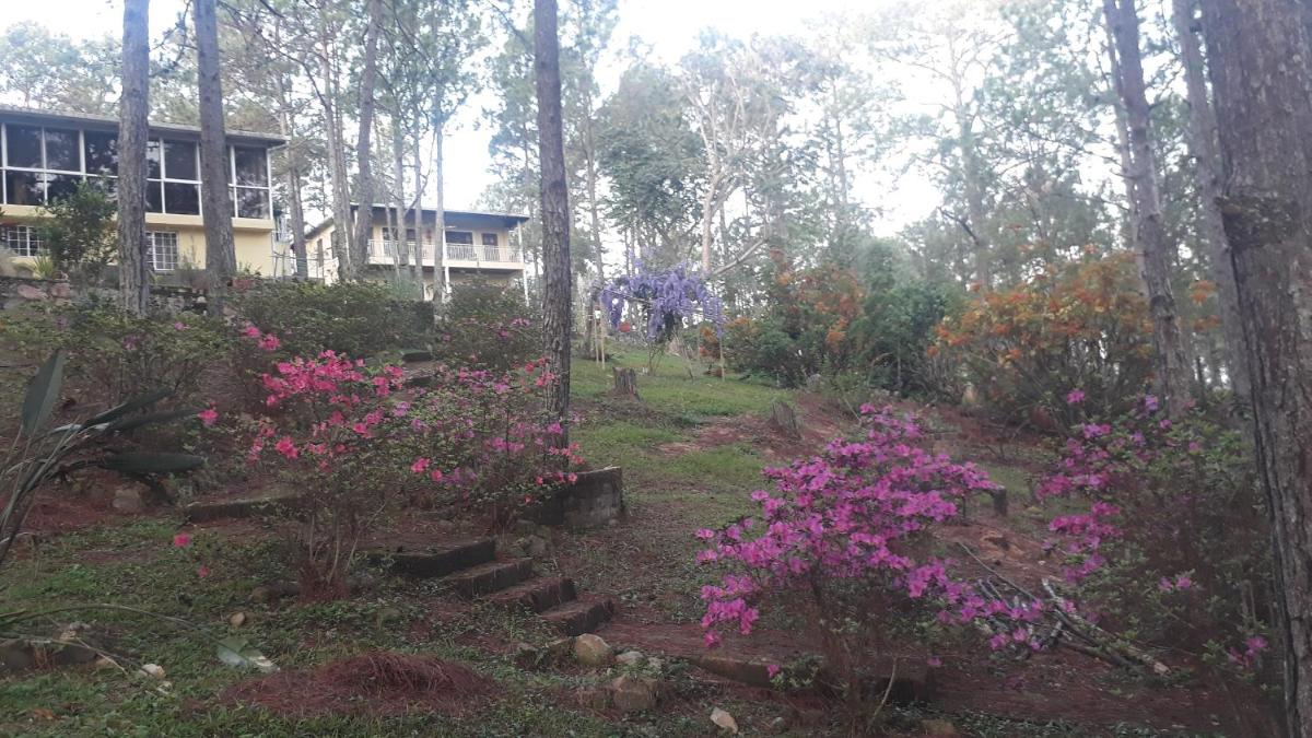 Suitetrails - Villa Poinsettia