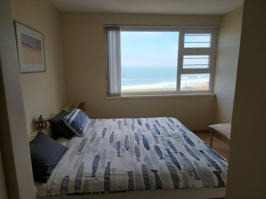 Desert Rose Beachfront Apartment - Housity