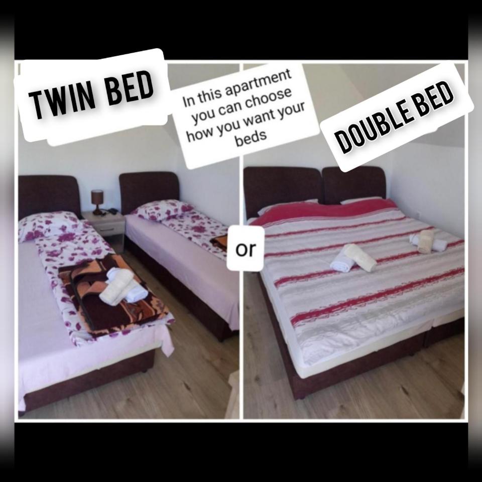 Guest House Baranin Pitomine - Housity