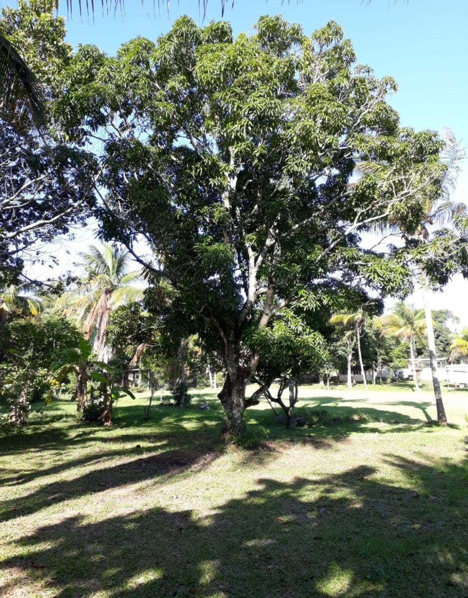 Maravilhoso Recanto Santa Rosa - Housity