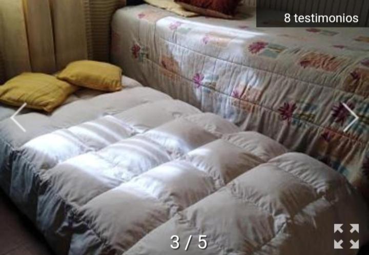 Casa Margarita - Housity