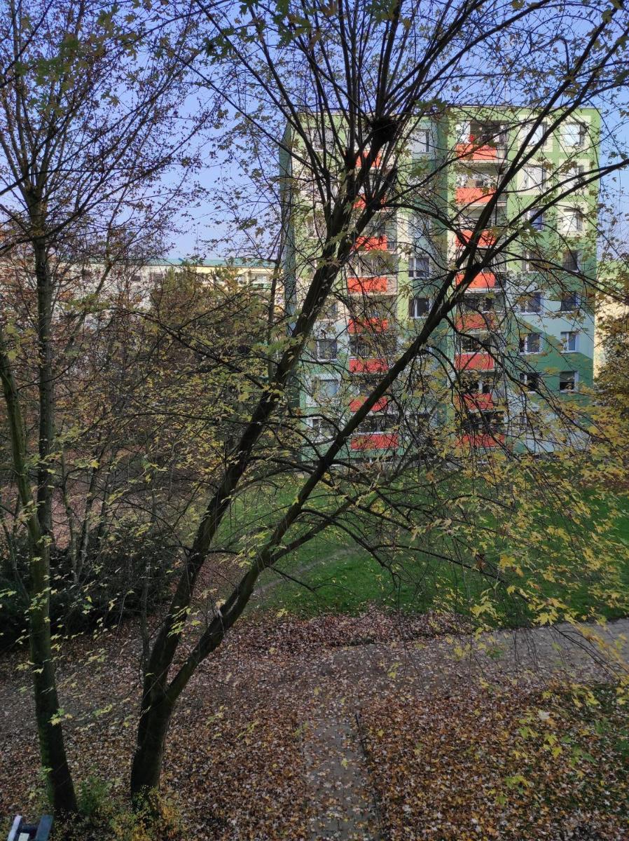 Stiborka - Housity