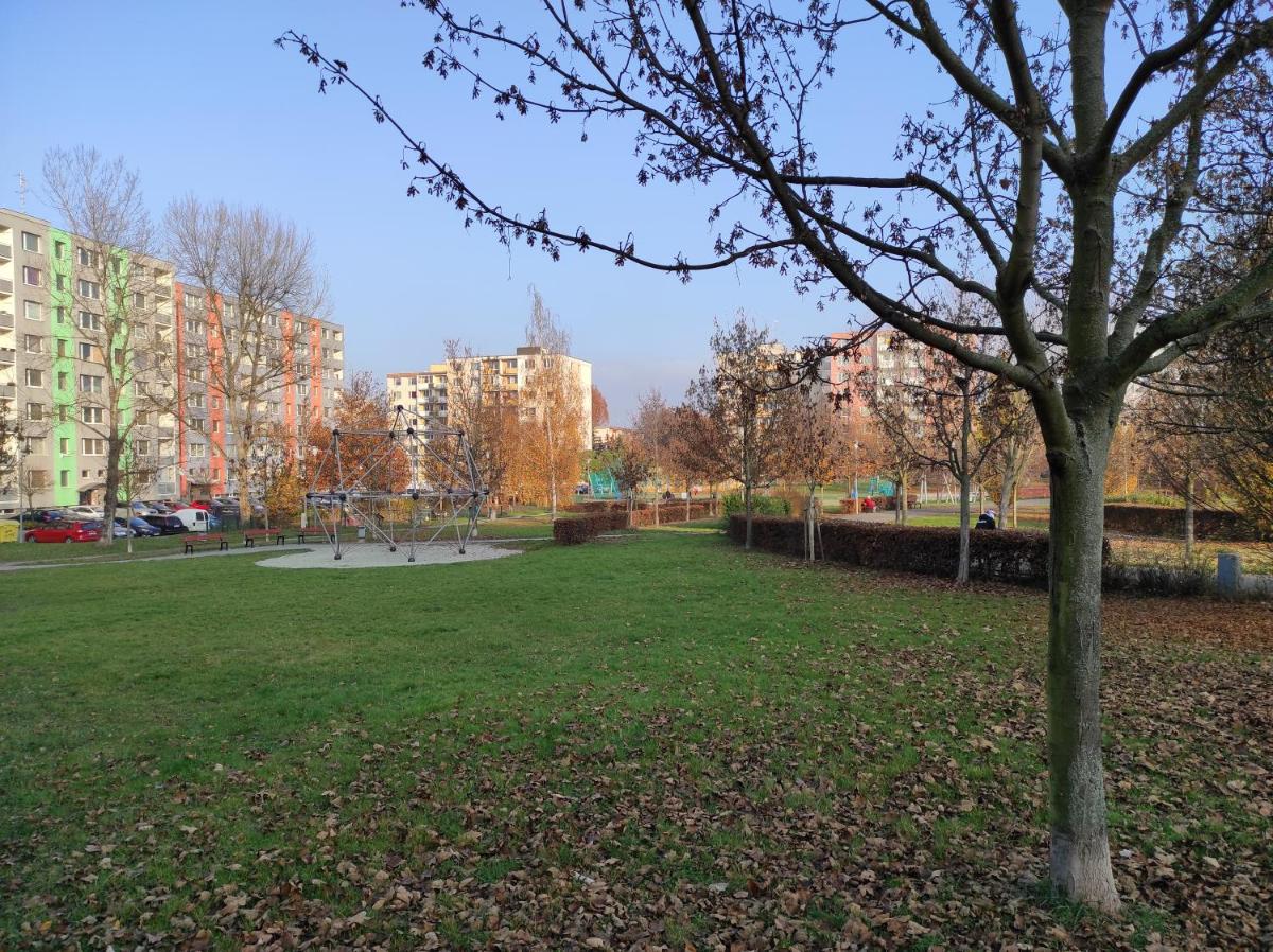 Stiborka - Housity