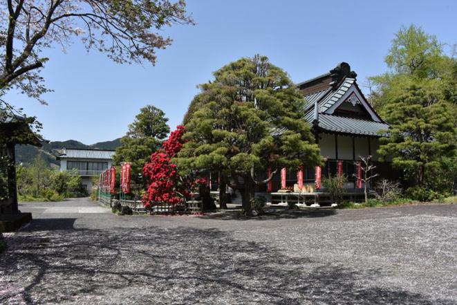 Yunonouti - Housity