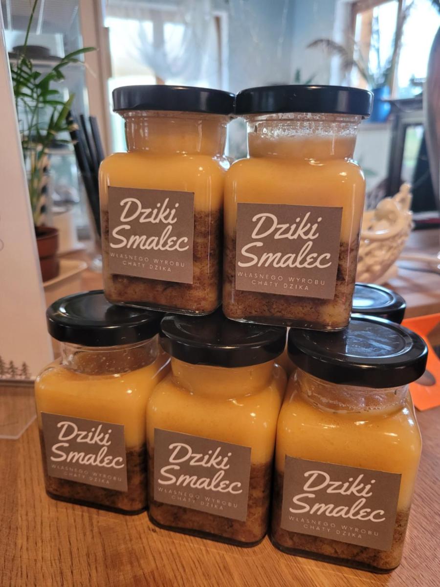 Góra Dzikowiec "Chata Dzika" - Housity