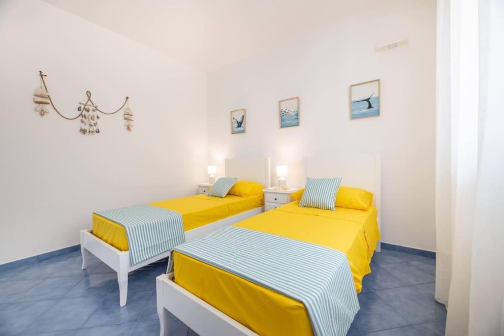 Belvedere Apartments B - Housity