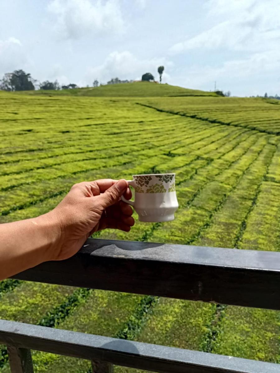 Tea Estate view stay - Housity