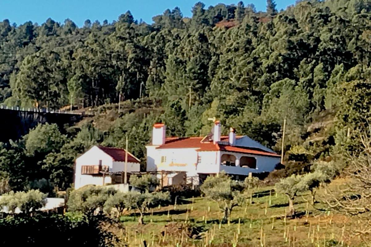 Casa Pollard - Housity