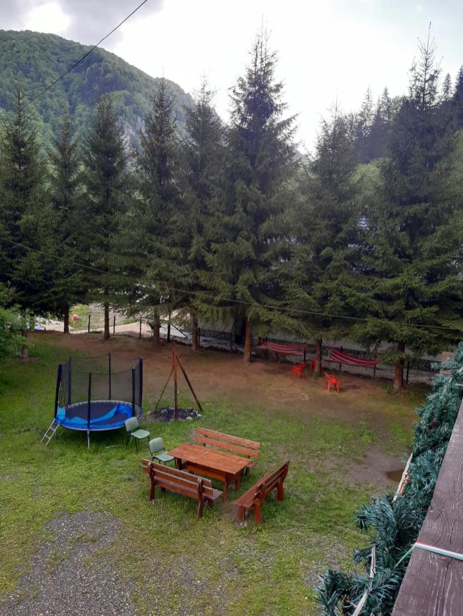 Complex Turistic Roua Muntilor Vila 1 - Housity