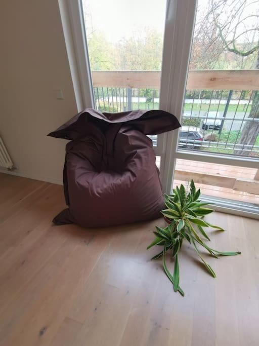 Beautiful Apartment in the Heart o. PrenzlauerBerg - Housity