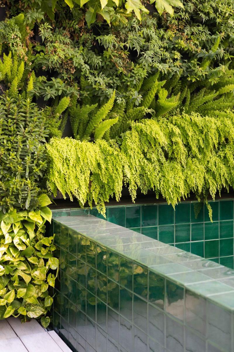 Um jardim no exterior de LUSTER Hotel