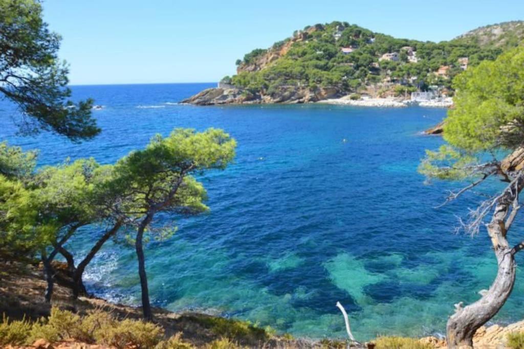 Grand Studio 30m avec jardin proche des plages - Housity