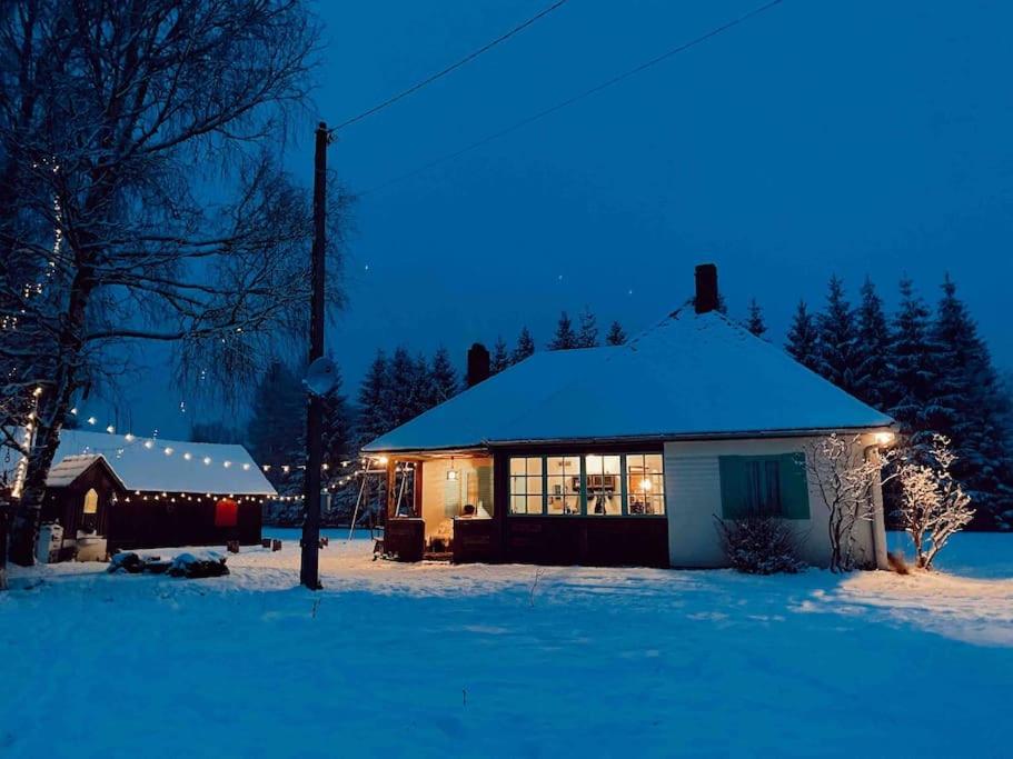 Comandau 11 - Housity