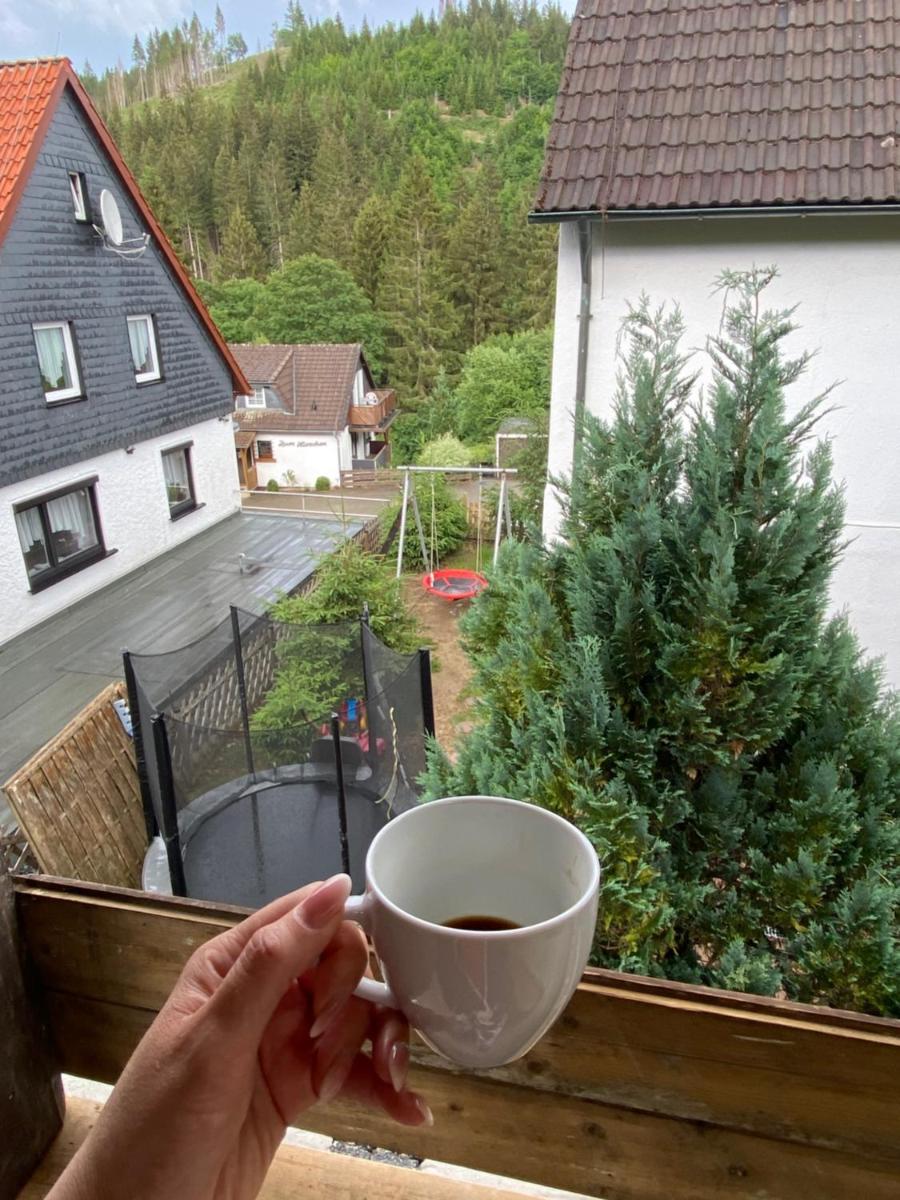 Beautiful 1-Bed House in Altenau - Housity