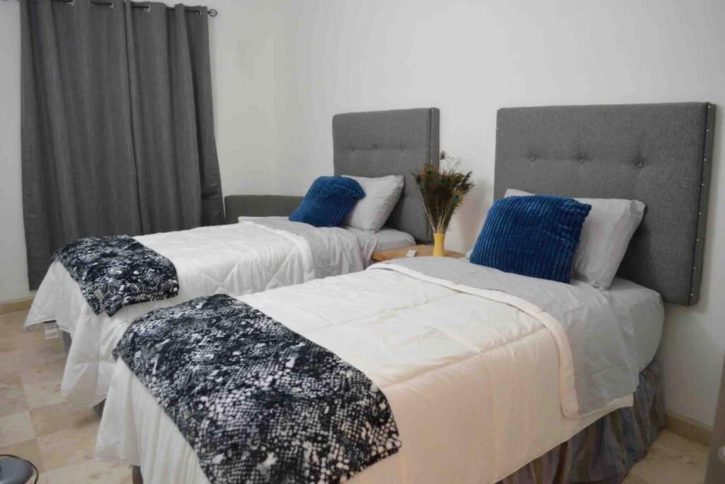 Suitetrails - Disfruta un agradable alojamiento en Rocky Point