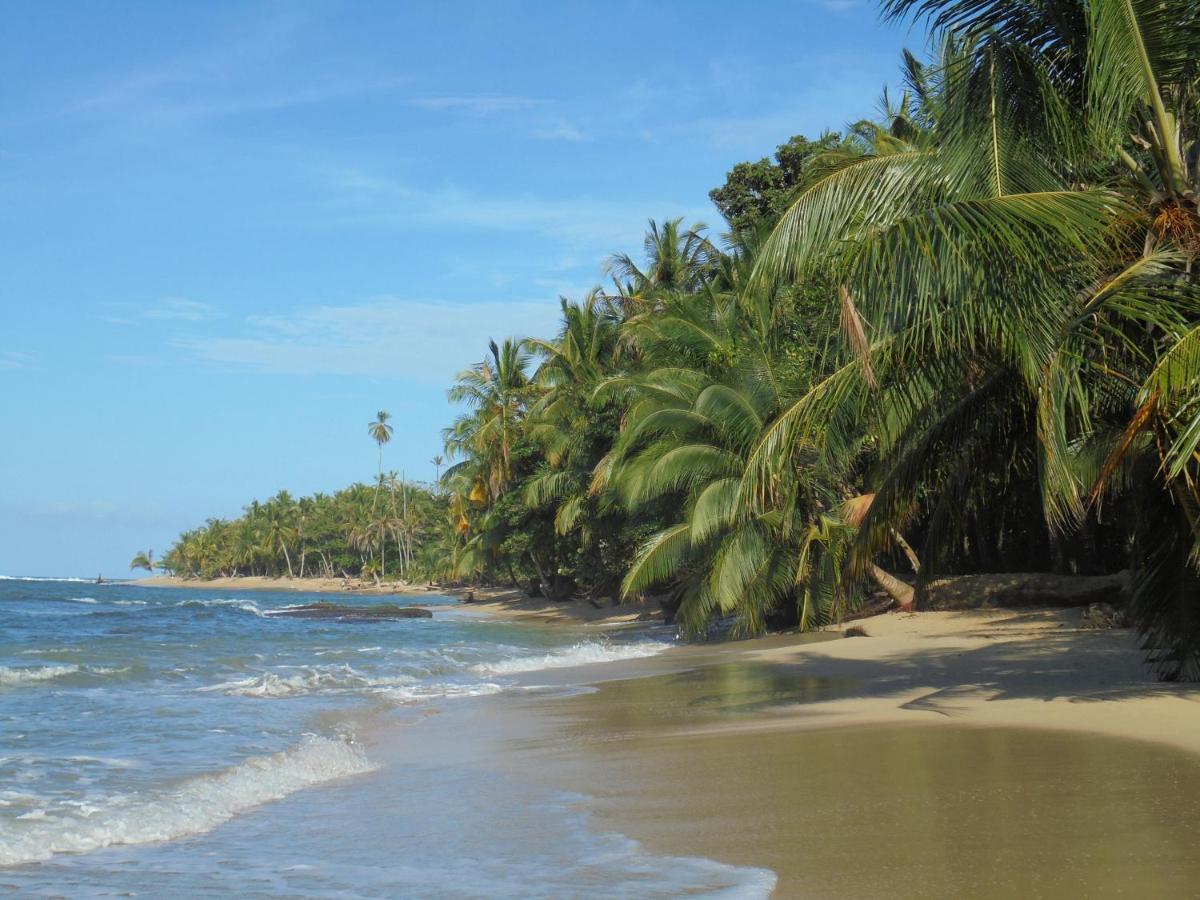 Hotel Casitas Mar y Luz - Housity