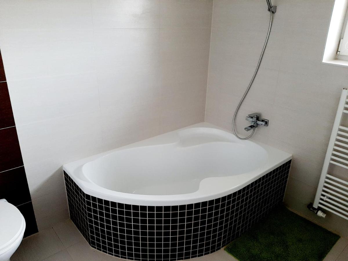 Apartmán v Dolní Lhotě - Housity